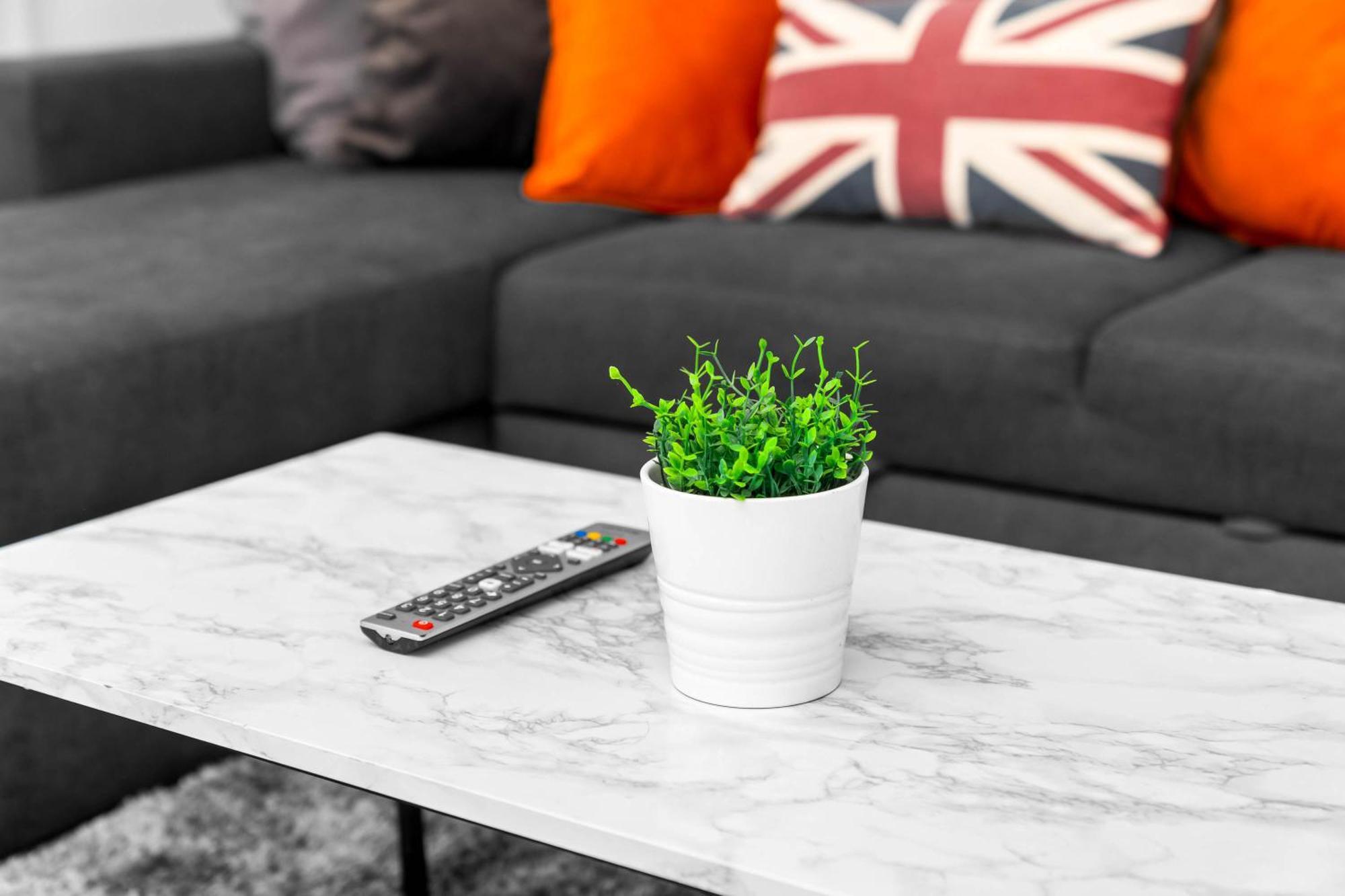 Luxury - Fast Wifi - Netflix - On Street Parking 1br *